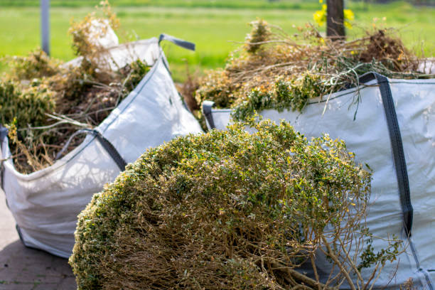 Best Yard Waste Removal  in Shelby, MS